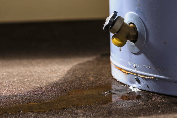 Best Residential water damage restoration  in East Palatka, FL