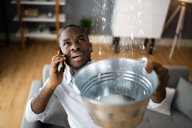 Best 24/7 water damage repair  in East Palatka, FL