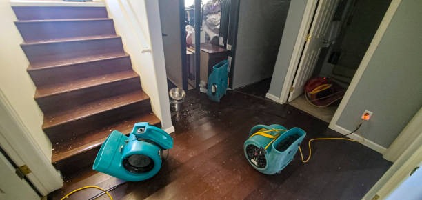 Best Water damage restoration services  in East Palatka, FL