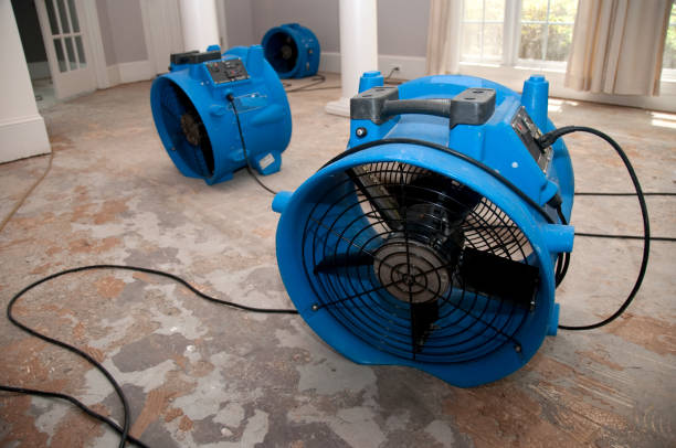 Best Sewage cleanup and water damage restoration  in East Palatka, FL